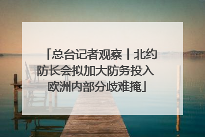 总台记者观察丨北约防长会拟加大防务投入 欧洲内部分歧难掩