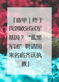 意甲｜终于找到欧冠冠军基因？“蓝黑军团”聘请国米名宿齐沃执教