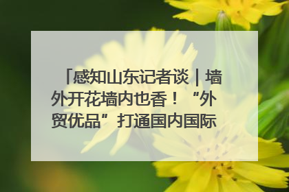 感知山东记者谈｜墙外开花墙内也香！“外贸优品”打通国内国际市场“旋转门”