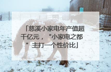 慈溪小家电年产值超千亿元，“小家电之都”主打一个性价比