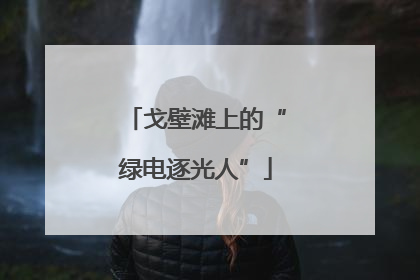 戈壁滩上的“绿电逐光人”