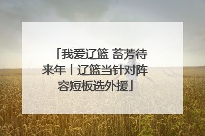 我爱辽篮 蓄芳待来年丨辽篮当针对阵容短板选外援
