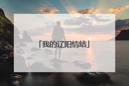 我的辽阳情结