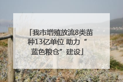 我市增殖放流8类苗种13亿单位 助力“蓝色粮仓”建设