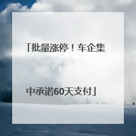 批量涨停！车企集中承诺60天支付