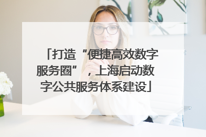 打造“便捷高效数字服务圈”，上海启动数字公共服务体系建设