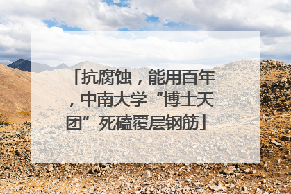 抗腐蚀，能用百年，中南大学“博士天团”死磕覆层钢筋
