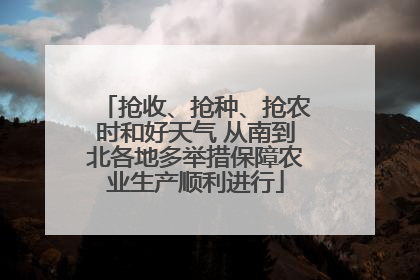 抢收、抢种、抢农时和好天气 从南到北各地多举措保障农业生产顺利进行