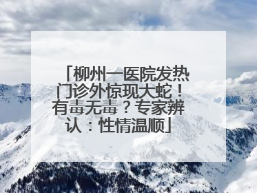 柳州一医院发热门诊外惊现大蛇！有毒无毒？专家辨认：性情温顺