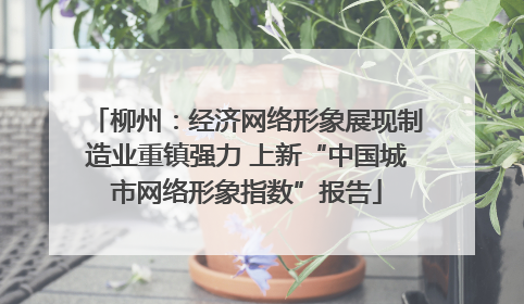 柳州：经济网络形象展现制造业重镇强力 上新“中国城市网络形象指数”报告