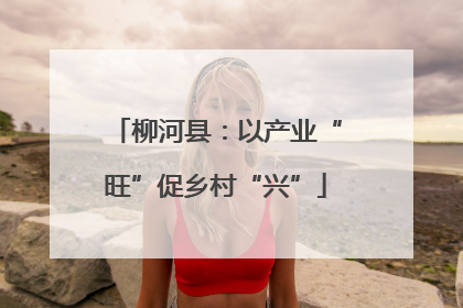 柳河县：以产业“旺”促乡村“兴”