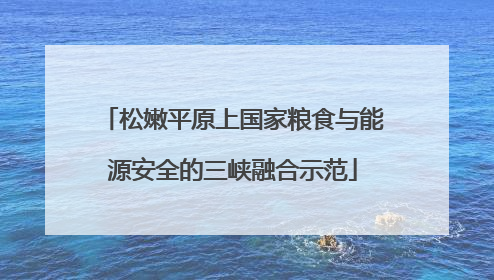 松嫩平原上国家粮食与能源安全的三峡融合示范
