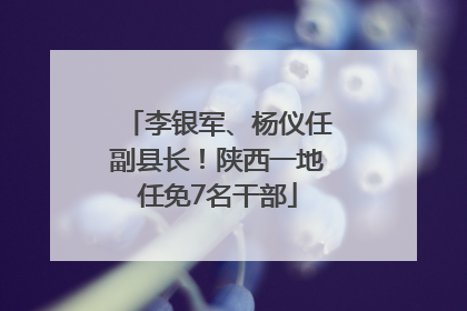 李银军、杨仪任副县长！陕西一地任免7名干部