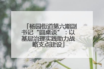 杨园街道第六期副书记“圆桌谈”：以基层治理实践助力战略支点建设