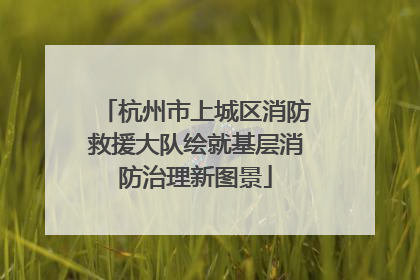 杭州市上城区消防救援大队绘就基层消防治理新图景