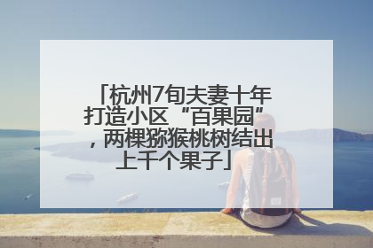 杭州7旬夫妻十年打造小区“百果园”，两棵猕猴桃树结出上千个果子
