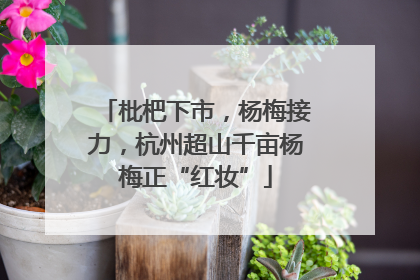 枇杷下市，杨梅接力，杭州超山千亩杨梅正“红妆”