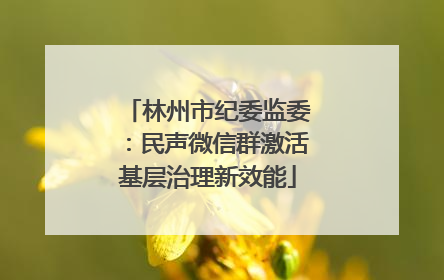 林州市纪委监委：民声微信群激活基层治理新效能