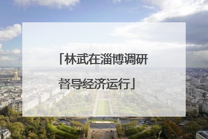 林武在淄博调研督导经济运行