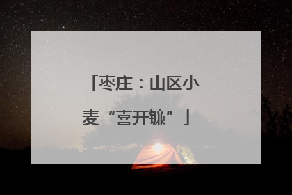 枣庄：山区小麦“喜开镰”