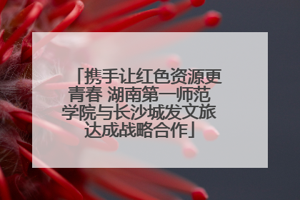携手让红色资源更青春 湖南第一师范学院与长沙城发文旅达成战略合作
