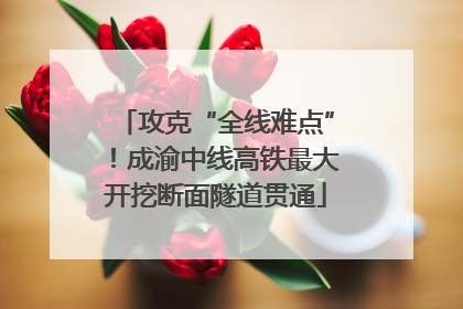 攻克“全线难点”！成渝中线高铁最大开挖断面隧道贯通