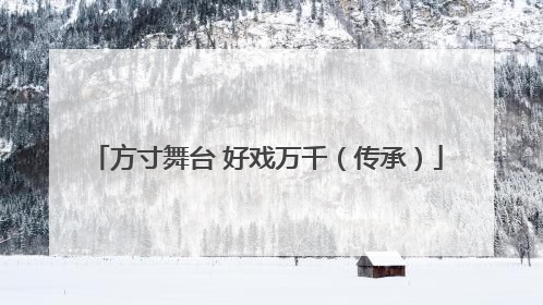 方寸舞台 好戏万千（传承）