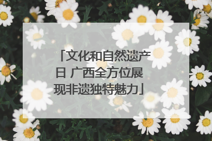 文化和自然遗产日 广西全方位展现非遗独特魅力