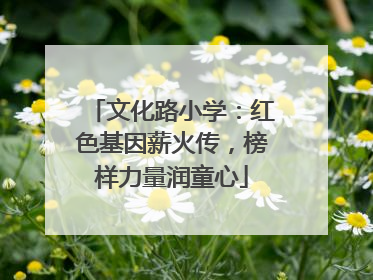 文化路小学：红色基因薪火传，榜样力量润童心