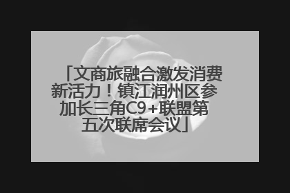 文商旅融合激发消费新活力！镇江润州区参加长三角C9+联盟第五次联席会议