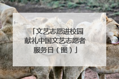 文艺志愿进校园 献礼中国文艺志愿者服务日（图）