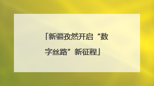 新疆孜然开启“数字丝路”新征程