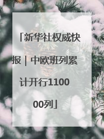 新华社权威快报｜中欧班列累计开行110000列
