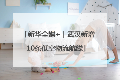 新华全媒+｜武汉新增10条低空物流航线