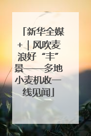 新华全媒+｜风吹麦浪好“丰”景——多地小麦机收一线见闻