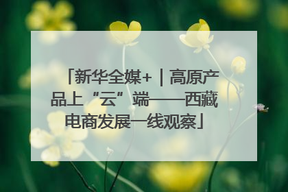 新华全媒+｜高原产品上“云”端——西藏电商发展一线观察