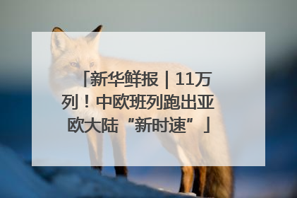 新华鲜报｜11万列！中欧班列跑出亚欧大陆“新时速”
