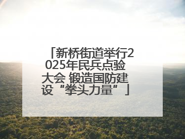 新桥街道举行2025年民兵点验大会 锻造国防建设“拳头力量”