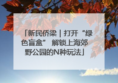 新民侨梁｜打开“绿色盲盒” 解锁上海郊野公园的N种玩法