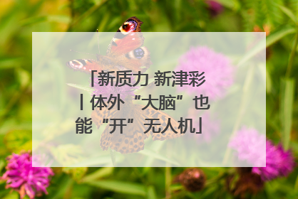新质力 新津彩丨体外“大脑”也能“开”无人机