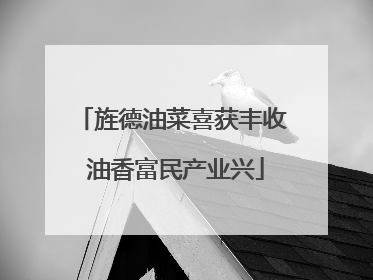 旌德油菜喜获丰收 油香富民产业兴