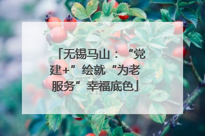 无锡马山：“党建+”绘就“为老服务”幸福底色