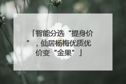 智能分选“提身价”，仙居杨梅优质优价变“金果”