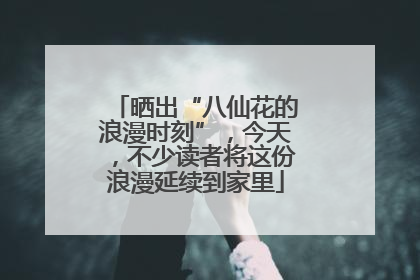 晒出“八仙花的浪漫时刻”，今天，不少读者将这份浪漫延续到家里