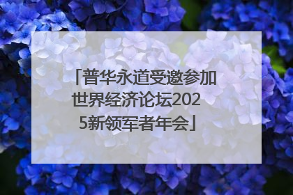 普华永道受邀参加世界经济论坛2025新领军者年会