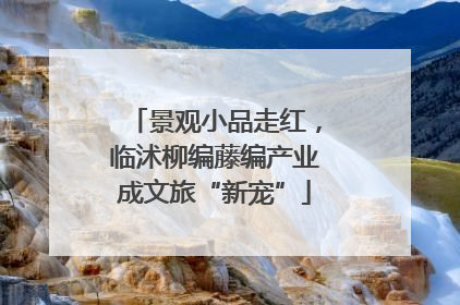 景观小品走红，临沭柳编藤编产业成文旅“新宠”