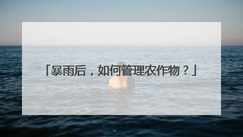 暴雨后，如何管理农作物？