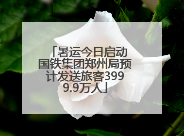 暑运今日启动 国铁集团郑州局预计发送旅客3999.9万人