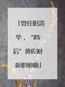 曾任职清华，“85后”黄佐财新职明确