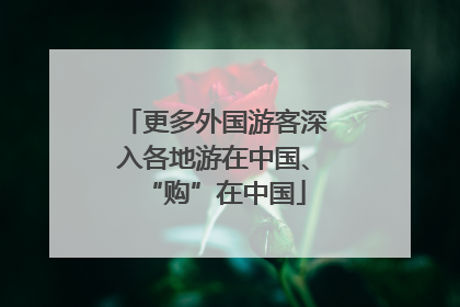 更多外国游客深入各地游在中国、“购”在中国